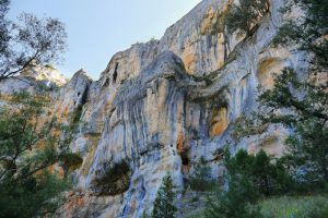 Descubre qué hacer en El Burgo de Osma