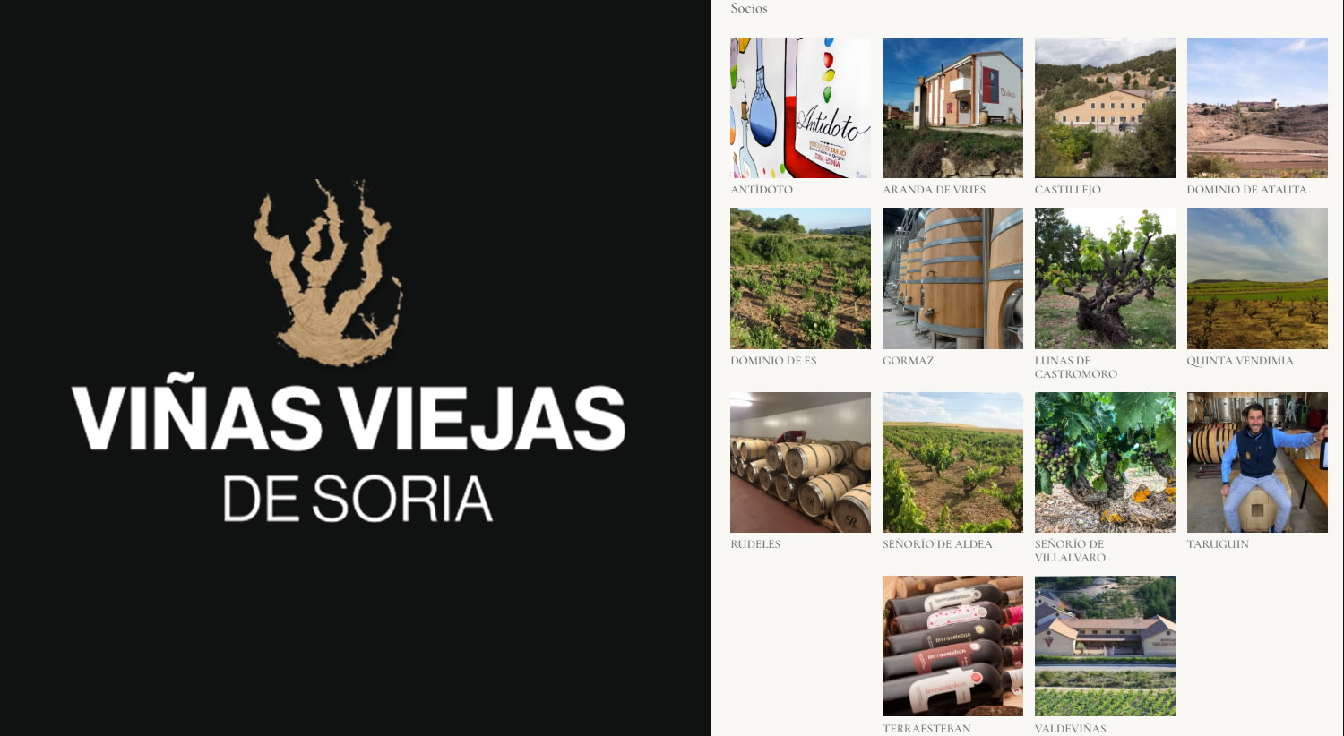 Asociación Viñas Viejas de Soria