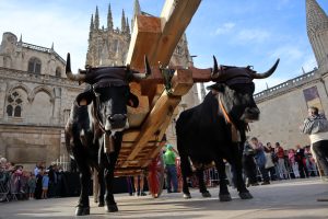 La Cabaña Real de Carreteros, Matanceros de Honor de la 51ª edición de las Jornadas de la Matanza